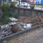 Parks Policy an Election Ploy