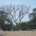 Regress Report – Railway Park, Chiang Mai