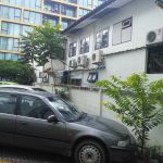Car Park Saplings 2